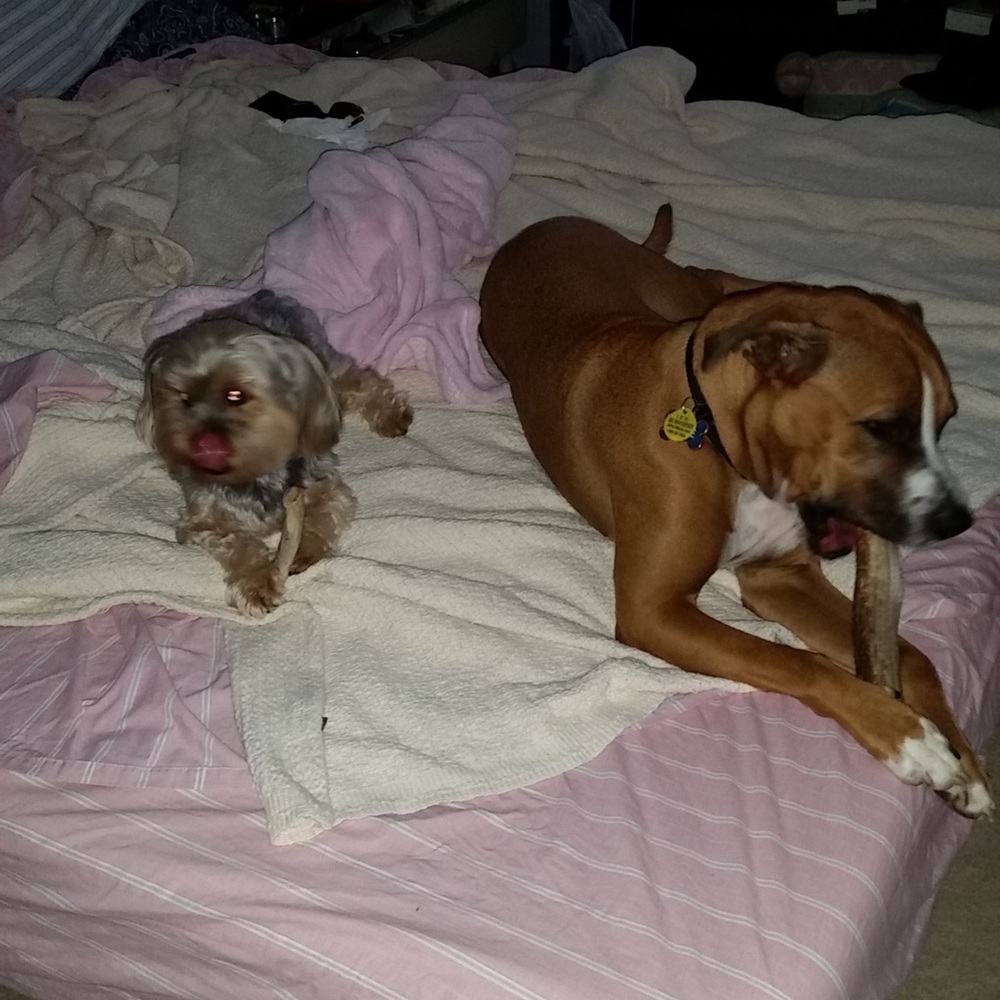 Meet your Posher, Donna